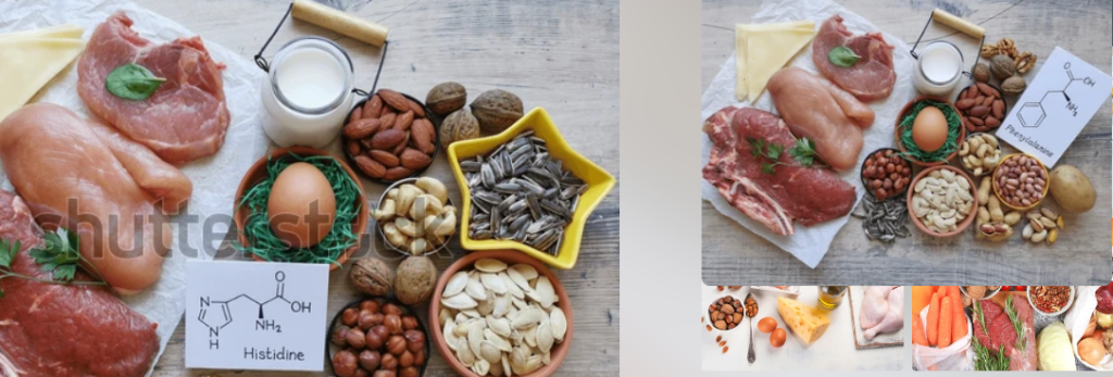 Histidine Amino Acid