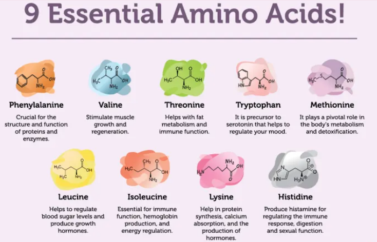 9 Essential amino acid